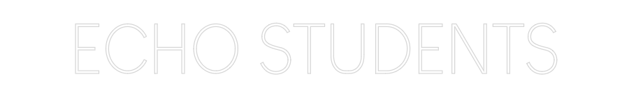 Custom Neon: ECHO STUDENTS