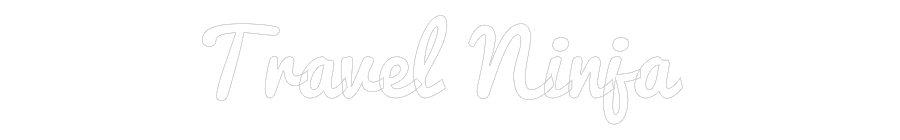 Custom Neon: Travel Ninja