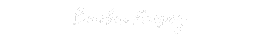Custom Neon: Bourbon Nursery
