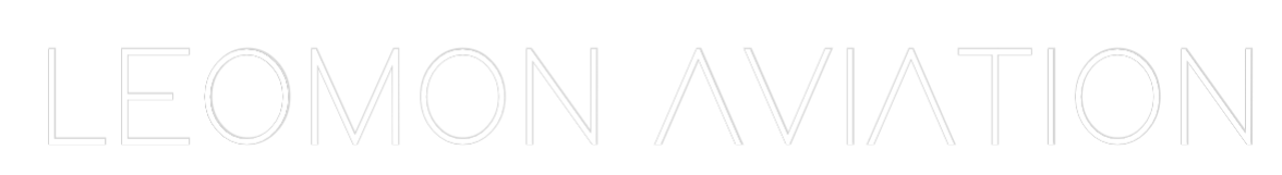 Custom Neon: LEOMON AVIATION