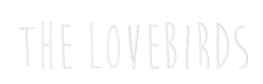 Custom Neon: The Lovebirds