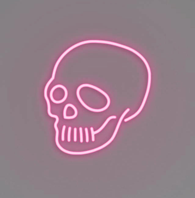 Skull Wall Mounted LED Neon Sign