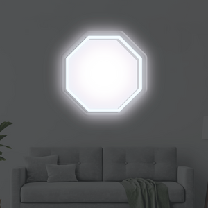 Octagon LED Neon Frame