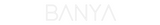 Custom Neon: BANYA