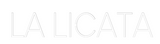 Custom Neon: LA LICATA