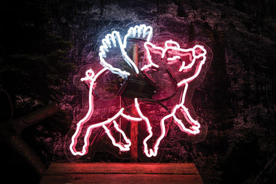 Flying Pig Glass Neon Sign - Neon Mfg.