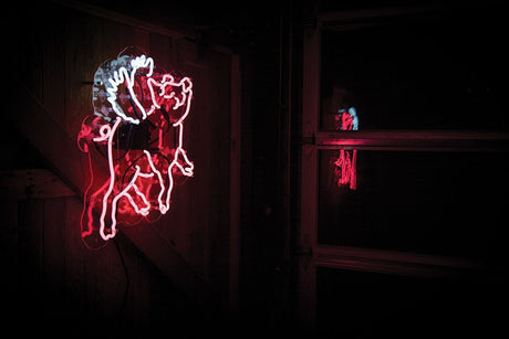 Flying Pig Neon Sign Wall Mounted