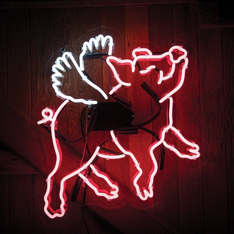 Flying Pig Neon Sign Wall Mounted