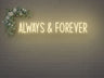 Always And Forever LED Neon Sign