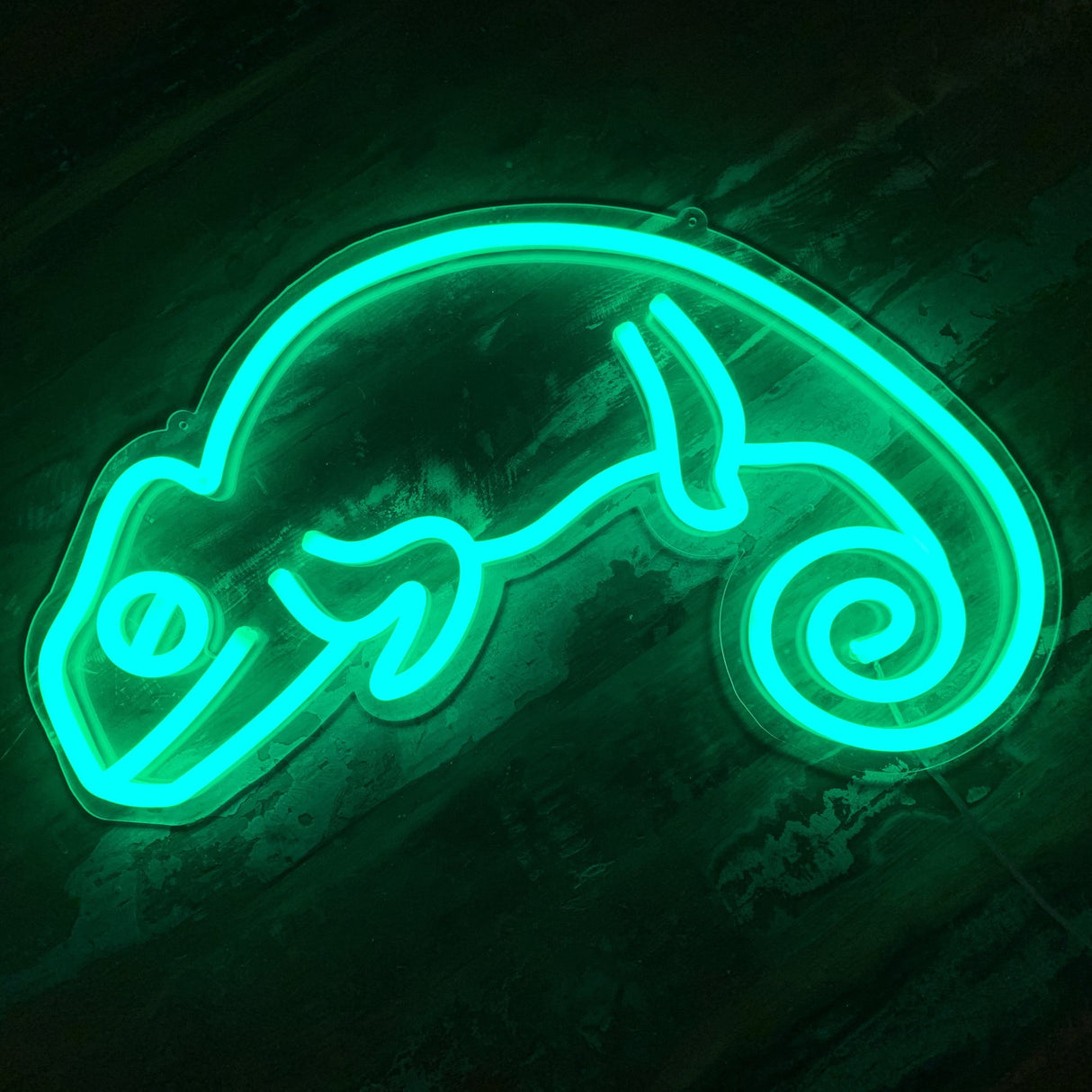 Chameleon LED Neon Sign