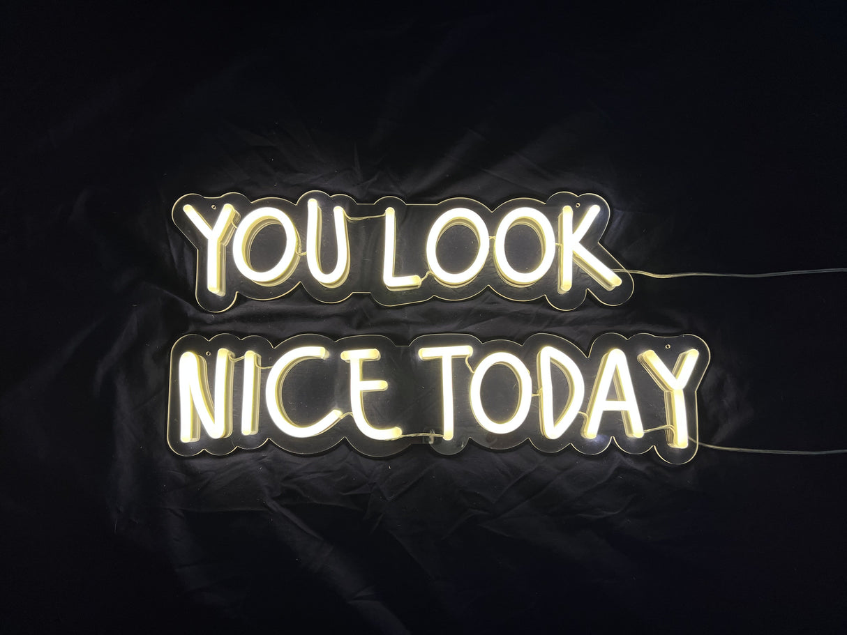 You Look Nice Today LED Neon Sign