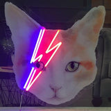 Ziggy Stardust Cat LED Neon Sign