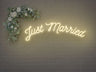 Just Married Arch LED Neon Sign