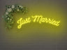 Just Married Arch LED Neon Sign