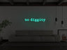 No Diggity LED Neon Sign