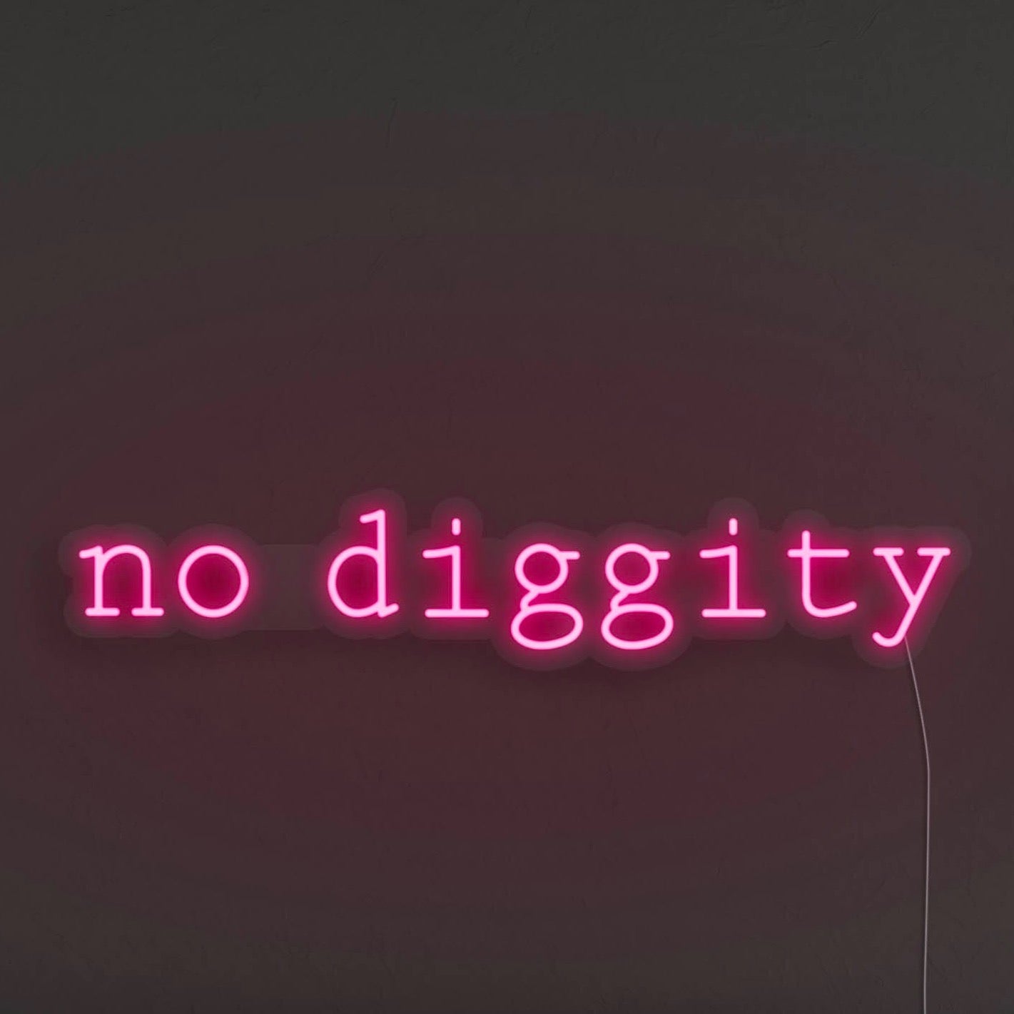 No Diggity LED Neon Sign