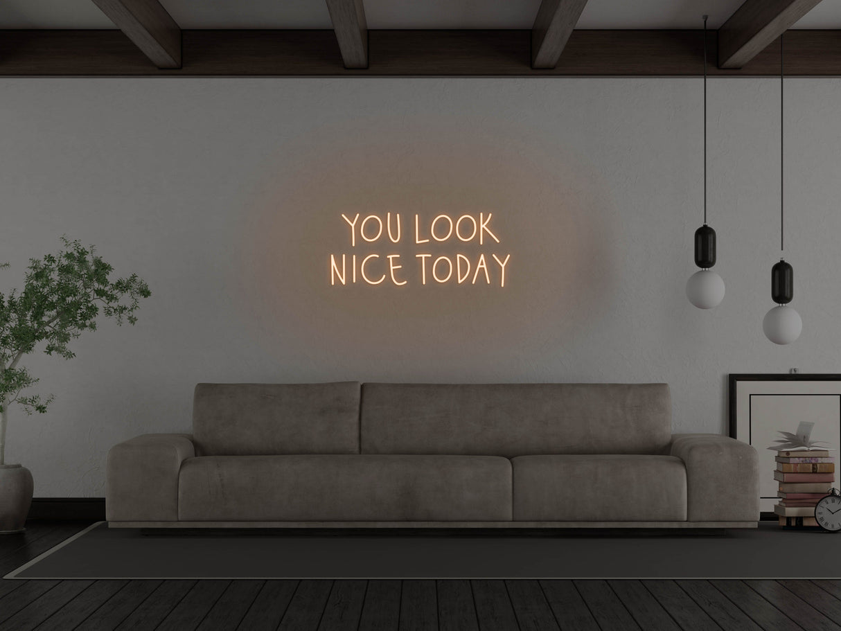 You Look Nice Today LED Neon Sign